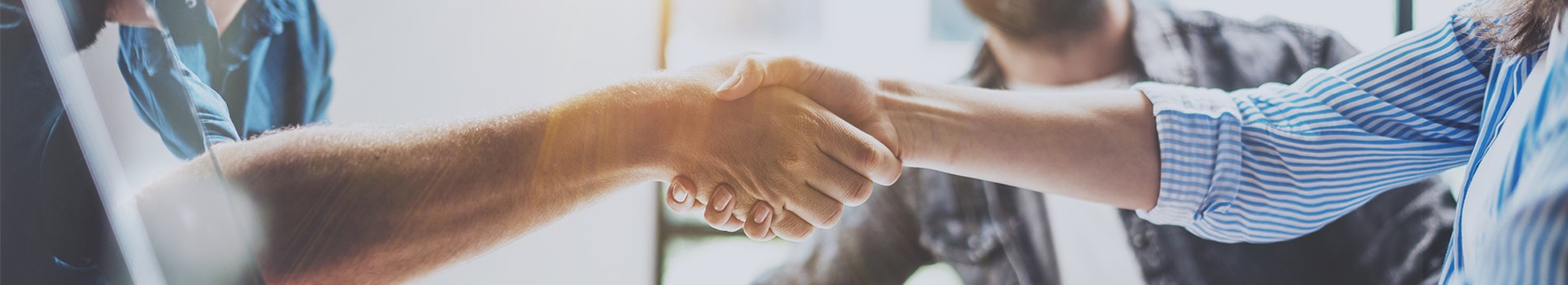 Raypath business partners meeting